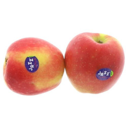 POMME JAZZ 13KG